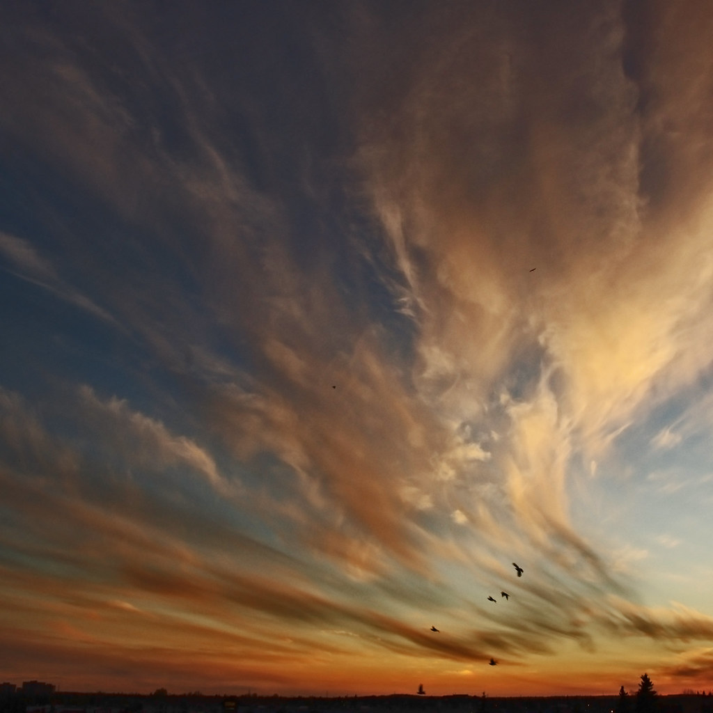 Dramatic sunset sky with streaked orange and blue clouds and several birds in flight silhouetted against the horizon