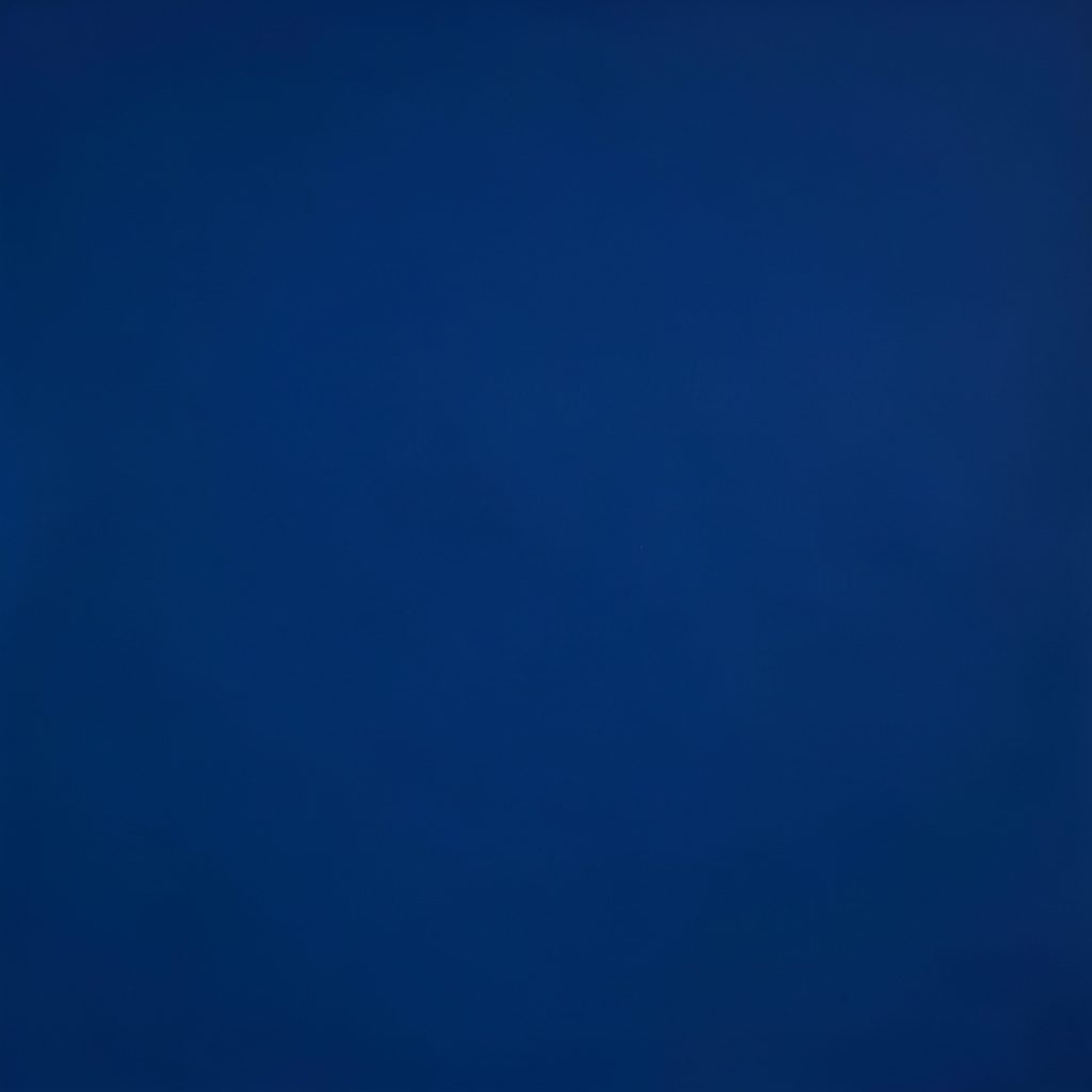 Crisp studio photograph of an underwater scene with dappled light and blue tones on a seamless backdrop